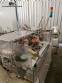 Encartonadora horizontal autom�tica IMA K-150