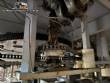 Lavadora enjuagadora automtica con 30 pinzas PET Mensual 9.000 botellas