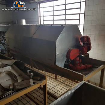 L�nea de chips para 250 kg