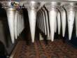 Fabricante de conos de helado para postres en forma de cono de 60 cavidades.
