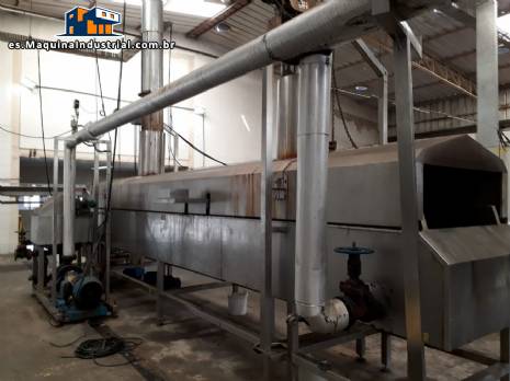 L�nea continua para patatas chips y paja MCI